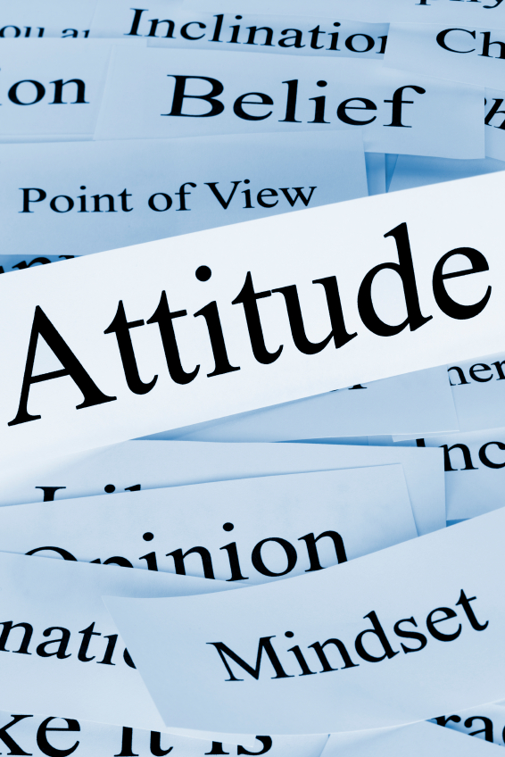 Subordinate Attitudes; the Wellspring of Organizational Performance